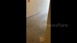 US: Intense Hailstorm Pelts Tampa Area In Florida