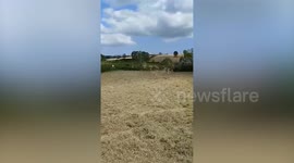 Woman spotted WHIRLWIND spinning through her garden caused by hot weather