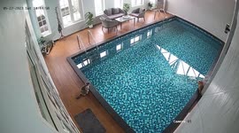 Pet cat leaps into swimming pool while staring down feline friend