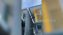 Pet cat stuck on roof of building rescued after it went missing for two days