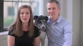 AMUSING images have brought together a pairing you never knew you needed – ballet dancers and DOGS.