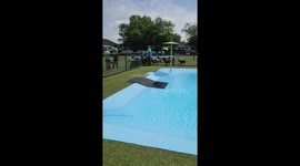 Pool Day for the Pups