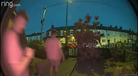 Guy Loses His Footing and Falls Into Bush