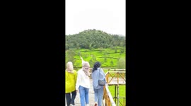 Falling camera: a serendipitous aesthetic mishap