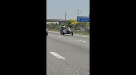 Motorcyclist Rides With Dog in Side Car