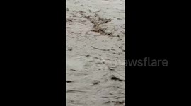 Ecuador: Severe Flooding Wreaks Havoc In Esmeraldas