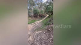 Cyclist crashes head-over-handlebars on downhill trail in Australia