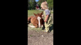 Two little sisters living on a horse farm adorably cuddle with their little horsecolt.