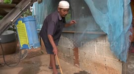 Thousands of bugs attack home in northeast Thailand