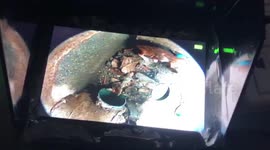Starving kitten rescued after being stuck in pipe for two days in Thailand