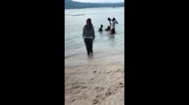 Beachside fun turns into a sticky situation: friend's head gets stuck in anchor rock!