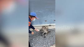 Rude monkey steals bag of popcorn from tourist who feeds it