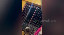 Wild python slowly slithers on resident's window before escaping onto back of house