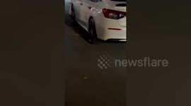 Workers catch snake hiding under customer's car at shopping mall