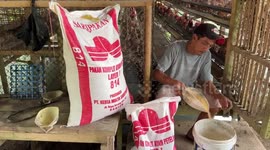 Increasing of Egg Price in Gunung Sindur, West Java, Indonesia