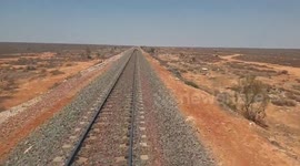 Camel Doesn't Care About The Train