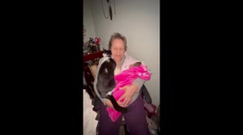 Love and Envy in One Video