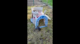 Chicken Enjoying The Playground