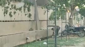 Coconut seller uses sewer water to clean fruits on his stall in India