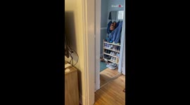 Toddler meets his little baby brother for the first time and holds him