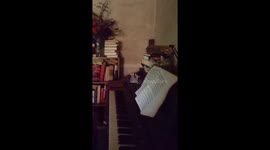 THIS ABANDONED home still has the blood-stained bed of its owner whose dead body was discovered days after her death.