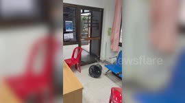 Terrified office workers run from snake trying to enter building