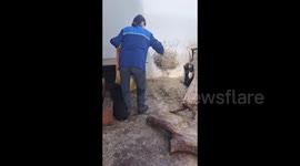 Heartwarming video captures playful bear cubs engaging in adorable shenanigans with zookeeper in Belarus