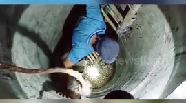 Update_Leopard falls into 20 feet deep well in central India, rescued after 13 hours