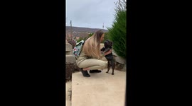 French Bulldog is getting emotional because his owner leaves! Very cute!