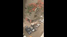 Storm Winds Scatter Tables and Branches