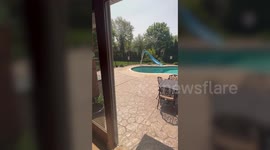 Woman Helps Ducklings Out of Swimming Pool