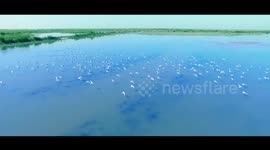 Xi visits Wuliangsu Lake in China's Inner Mongolia
