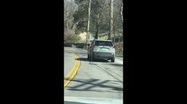 Car is caught on camera driving with gas pump nozzle and hose hanging from the gas tank