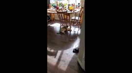 The Strangest Place To Snooze