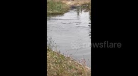 Ukraine: Relief Supplies Arrive In Flood-Hit Kherson