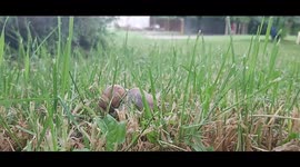 Morning equipment by Snail