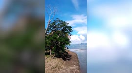 Steam plume rises over Philippines Taal Volcano amid unrest