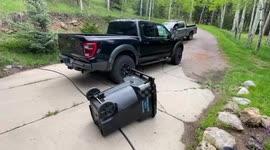 Hungry bear locks itself in pickup truck after sniffing dog food in Colorado