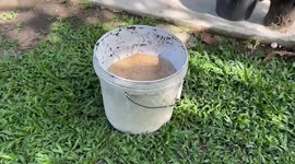 Jungle-dwelling Thai man dubbed 'Iron neck' for his astonishing high-strength stunts