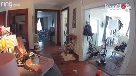 Toddler gets curiosity cleaned out of his system after vacuum experiment turns CHAOTIC