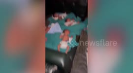 Twenty newborn babies rescued after fire breaks out at hospital in northern India