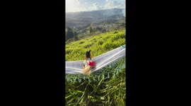 Relaxing Rooster Looks Over His Kingdom