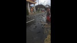 Unusual catfish deluge: road accident unleashes aquatic chaos