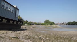 Chiswick Mall, Chiswick, London where the River Thames is at low tide, a dog plays in the river, mounted police patrol, rowers row, scullers scull and houseboats settle in their moorings.