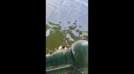Rescuing A Woman From The River