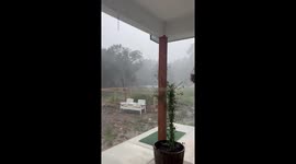 Wild Storm In Texas Knocks Over Oak