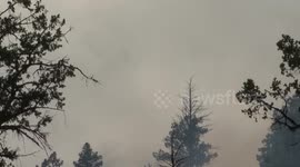STOCKSHOTS: Fire Views in Hope, BC as Wildfires Set to Break Records in Canada