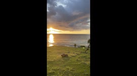 Anjoy sunset