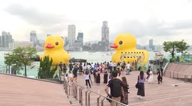 Iconic giant rubber ducks make a triumphant comeback to Hong Kong after 10 years, delighting locals