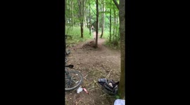 Failed bike jump on a £2000 bike